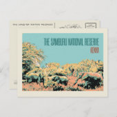 ケニアのサンブル国立保護区のゾウ ポストカード (正面/裏面)