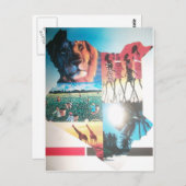 ケニアのタペストリー:野生生物、文化、沿岸ビーチ ポストカード (正面/裏面)