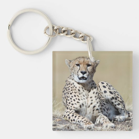 ケニアのマサイマラで撮影 キーホルダー (正面)