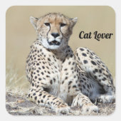 ケニアのマサイマラで撮影 スクエアシール (正面)