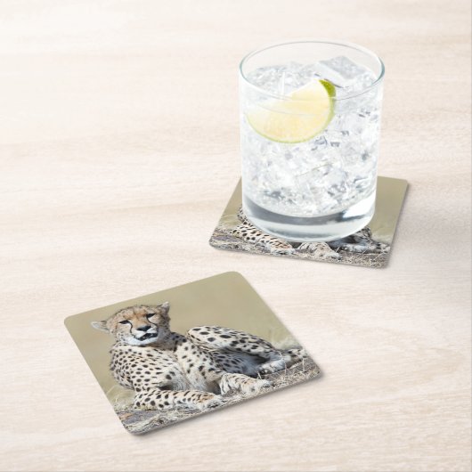 ケニアのマサイマラで撮影 スクエアペーパーコースター (インサイチュ)