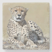 ケニアのマサイマラで撮影 ストーンコースター (正面)