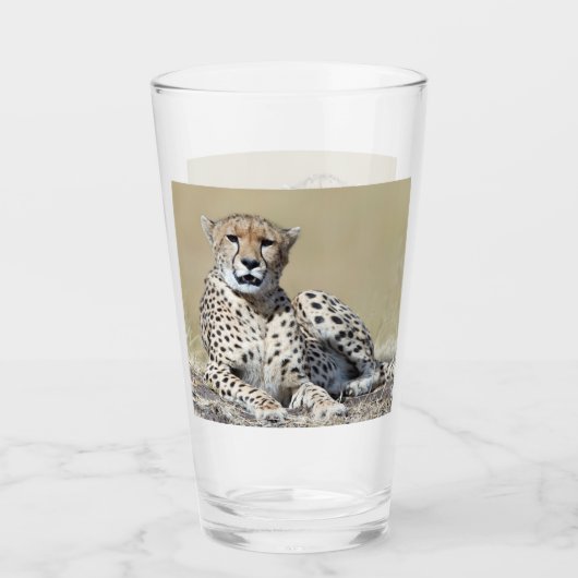 ケニアのマサイマラで撮影 タンブラーグラス (正面)