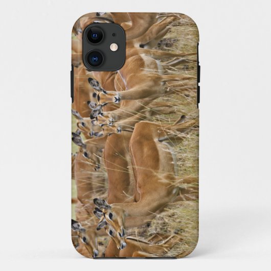 ケニアのマサイマラにいるメスのインパラの群れ Case-Mate iPhoneケース (裏面)