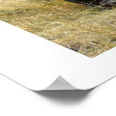 ケニアの水牛 ポスター (角)