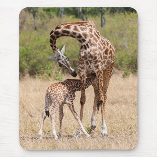 ケニアの親キリンと子キリン マウスパッド (正面)