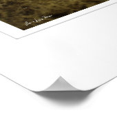 ケニアサバンナプリント ポスター (角)