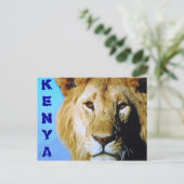 ケニアサファリ葉書 ポストカード (スタンド正面)