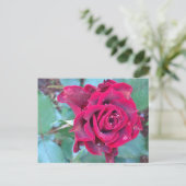 ケニアバラはがき ポストカード (スタンド正面)