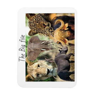 ケニアビッグ5の磁石 マグネット