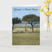 ケニアマサイマラキリン カード (黄色い花)
