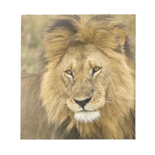 ケニアマサイマラ ノートパッド (正面)