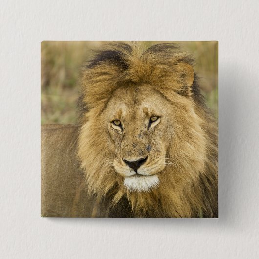 ケニアマサイマラ 缶バッジ (正面)