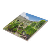 ケニア山のジャイアントロベリア(ロベリアデッケニイ) タイル (側面)