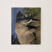 ケニア:アフリカ象(オス)、アンボセリ ジグソーパズル (縦)