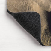 ケニア:アフリカ象(オス)、アンボセリ マウスパッド (コーナー)