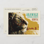 ケニア・アラワレ国立保護区のライオン ポストカード (正面/裏面)