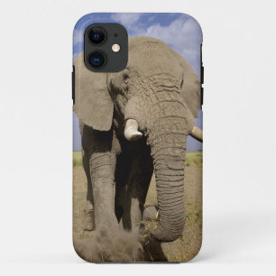 ケニア:アンボセリ国立公園、オスの象 iPhone 11 ケース
