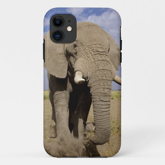 ケニア：アンボセリ国立公園、オスの象 Case-Mate iPhoneケース (裏面)
