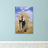 ケニア：アンボセリ国立公園、雄ゾウ キャンバスプリント (インサイチュ (ウッドフロア))