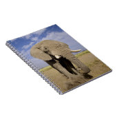 ケニア：アンボセリ国立公園、雄ゾウ ノートブック (右側)