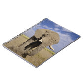 ケニア：アンボセリ国立公園、雄ゾウ ノートブック (左側)