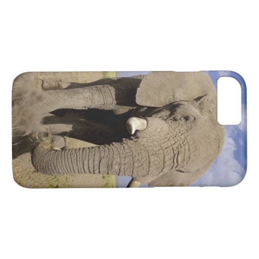 ケニア:アンボセリ国立公園、雄ゾウ Case-Mate iPhoneケース (裏面(横))