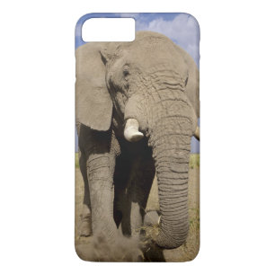 ケニア:アンボセリ国立公園、雄ゾウ iPhone 8 PLUS/7 PLUSケース