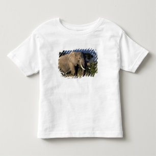 ケニア:アンボセリ、雄のアフリカゾウ トドラーTシャツ