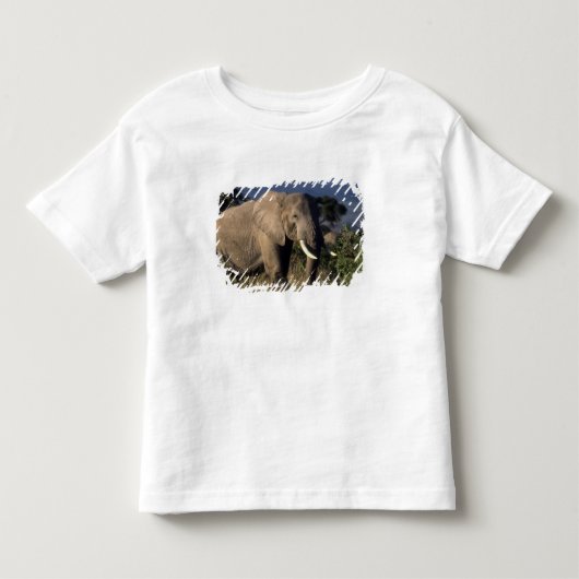 ケニア:アンボセリ、雄のアフリカゾウ トドラーTシャツ (正面)