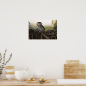 ケニア、サンブル保護区。ベルベット・モンキー ポスター (キッチン)