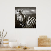 ケニア。ゼブラとプレーンの白黒。 ポスター (キッチン)
