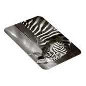 ケニア。ゼブラとプレーンの白黒。 マグネット (右側)