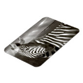 ケニア。ゼブラとプレーンの白黒。 マグネット (左側)