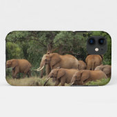 ケニア: ツァボ東国立公園、アフリカゾウの群れ Case-Mate iPhoneケース (裏面(横))