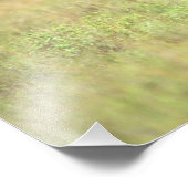 ケニア、ナイロビ国立公園。クロサイ フォトプリント            (角)