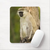 ケニア、ナクル湖国立公園。ベルベット マウスパッド (マウス)