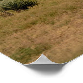 ケニア ポスター (角)