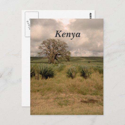 ケニア ポストカード (正面/裏面)
