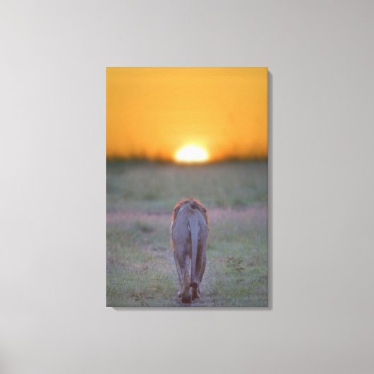 ケニア、マサイマラ2 キャンバスプリント (正面)