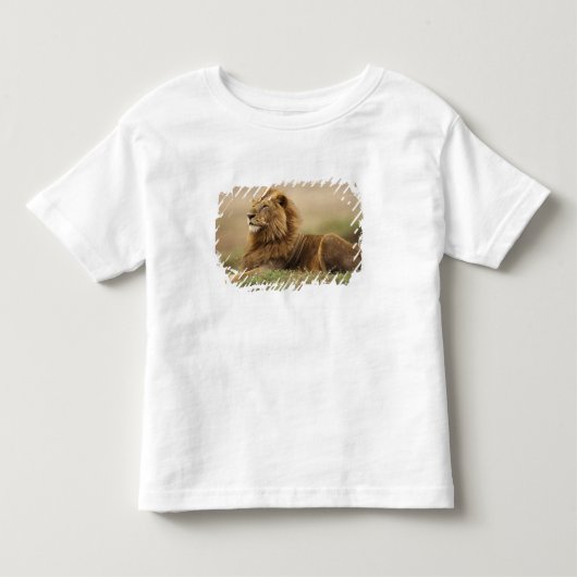ケニア、マサイマラ | オスのライオン トドラーTシャツ (正面)
