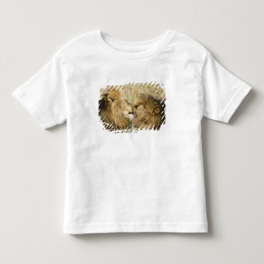 ケニア マサイマラ トドラーTシャツ (正面)