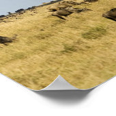 ケニア、マサイマラ。観光客が熱気球に乗る ポスター (角)