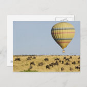 ケニア、マサイマラ。観光客が熱気球に乗る ポストカード (正面/裏面)