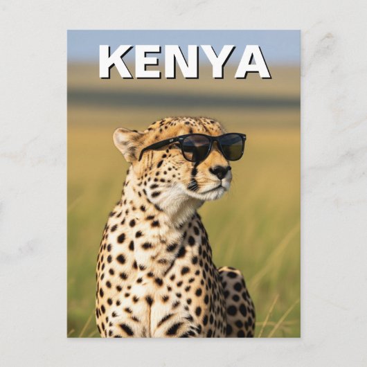 ケニアMasai Mara Cheetahサングラス ポストカード (正面)