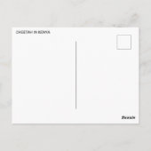 ケニヤのチーター ポストカード (裏面)