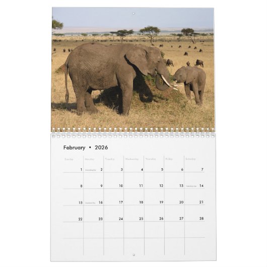 ケニヤのマサイ族のマラのカレンダーの野性生物 カレンダー (2月 2026)