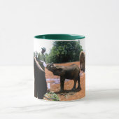 ケニヤを入れられている象 マグカップ (中央)