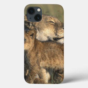 ケニヤ、マサイ族のマラのゲームの予備、雌ジシ iPhone 13ケース