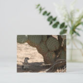 ケニーズ・クリッター ポストカード (スタンド正面)